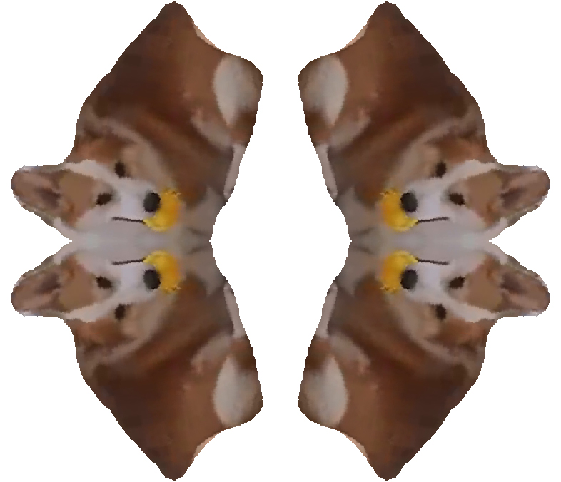 selection thumbnail