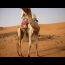 Sudan Desert Walk 28