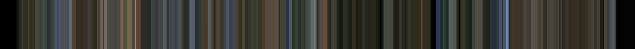 A barcode of colors from the vid Struggle