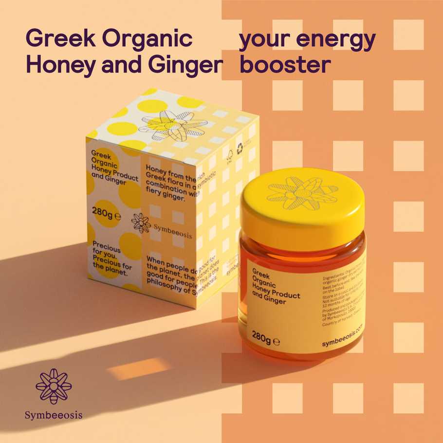 Griechische-Lebensmittel-Griechische-Produkte-griechischer-Bio-Honig-und-Ingwer-280g-symbeeosis