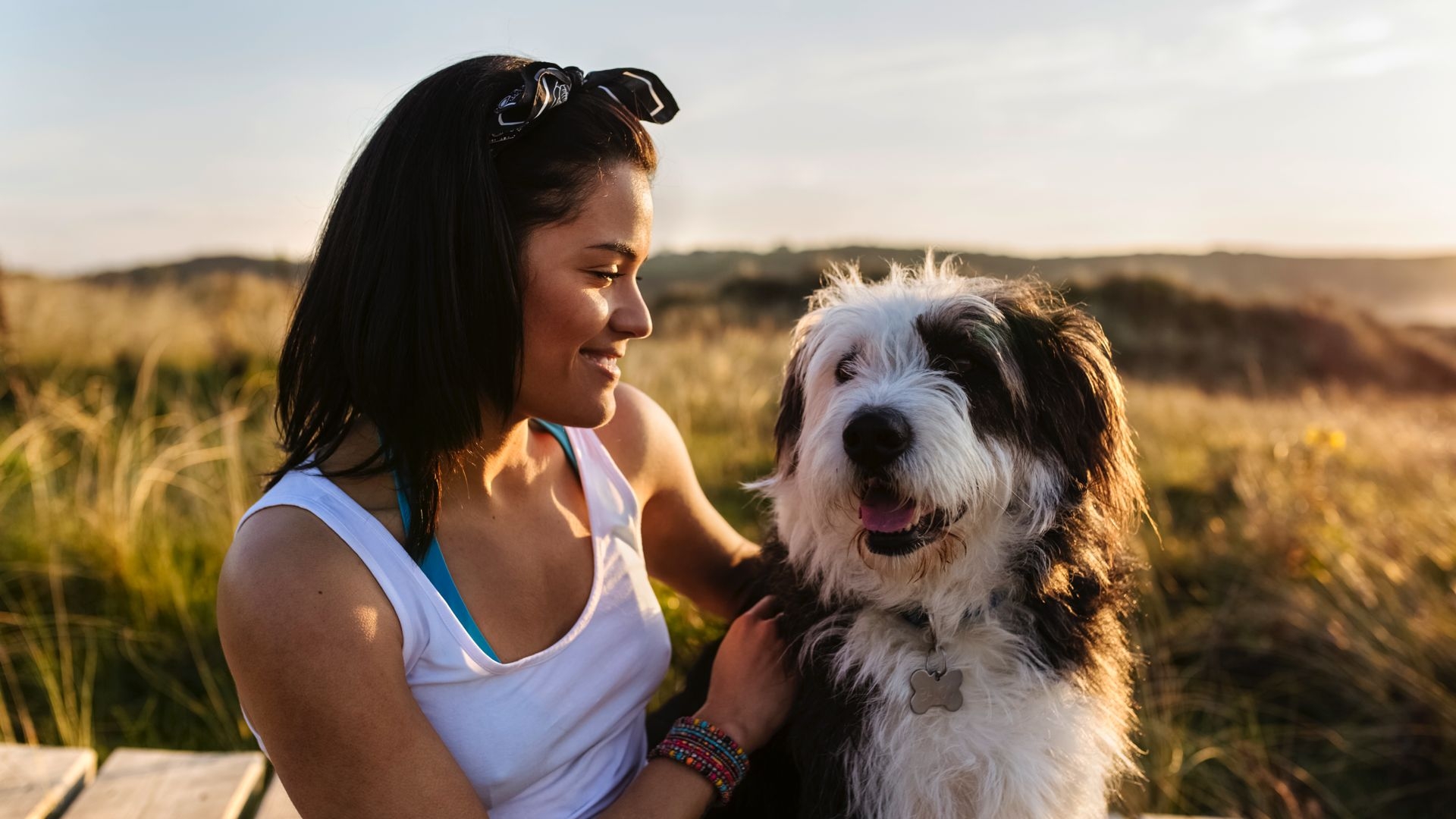 The Power of Pets, Health Benefits of Human-Animal Interactions