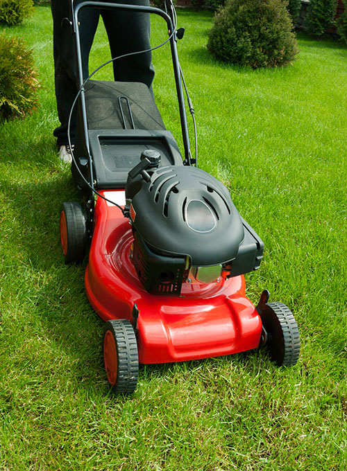 lawn mowing canmore landscaping