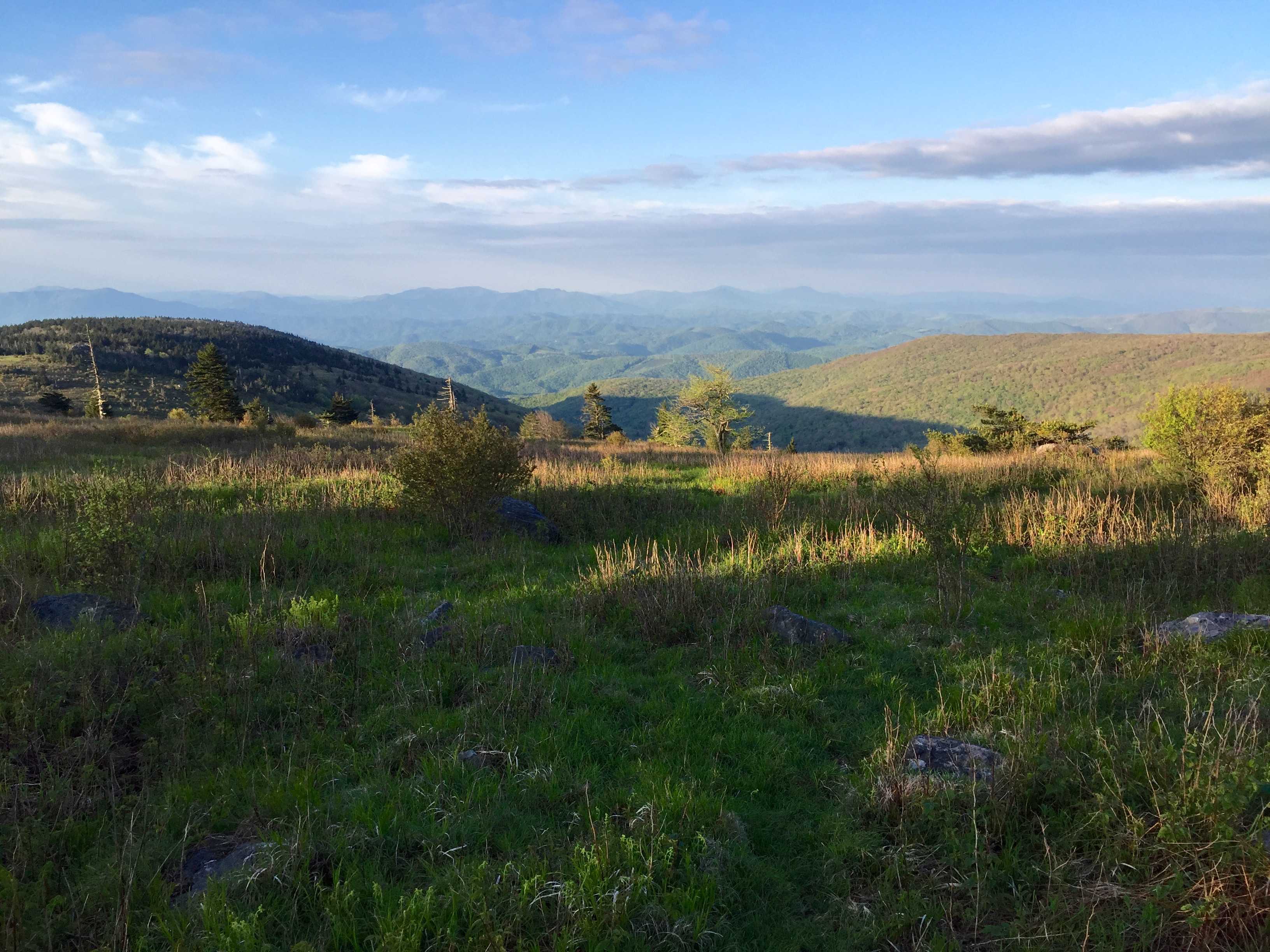 AT 2017: Day 38, Thomas Knob Shelter to Hurricane Mountain Shelter ...