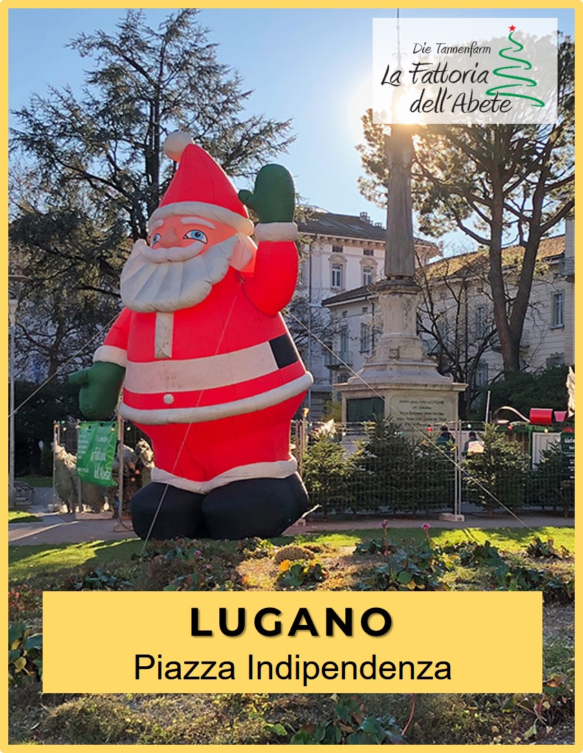 Decorazioni Natalizie Lugano.La Fattoria Dell Abete Alberi Di Natale Lugano Agno Serfontana