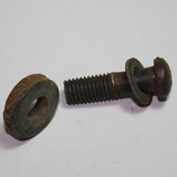 Screw Screw