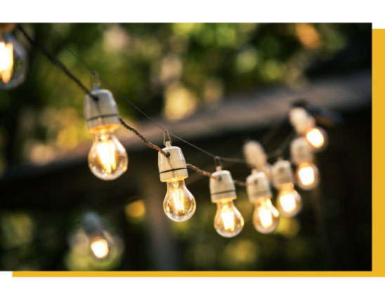 A string of lights in a garden