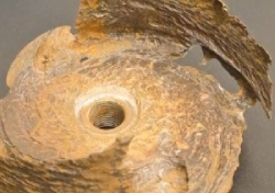 Cavitation image 1