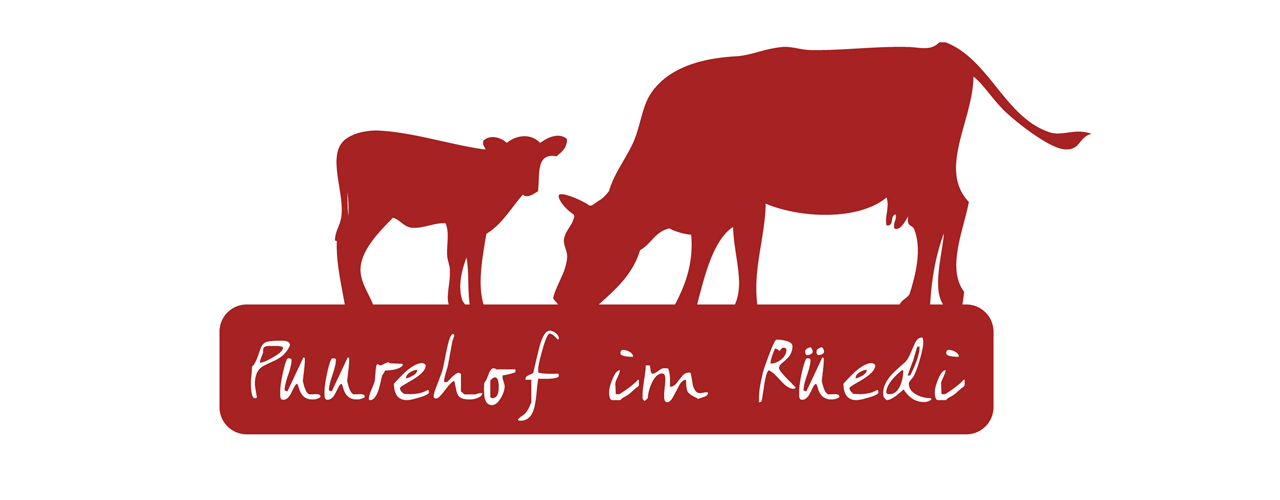 Logo Ruuedi