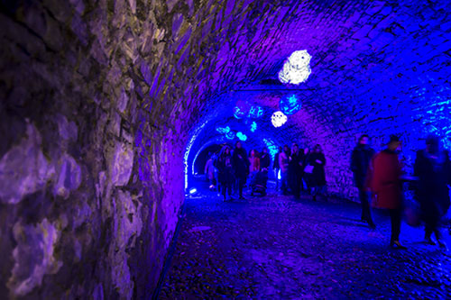 NATURA E ARCHITETTURA INCANTANO QUASI 300.000 VISITATORI