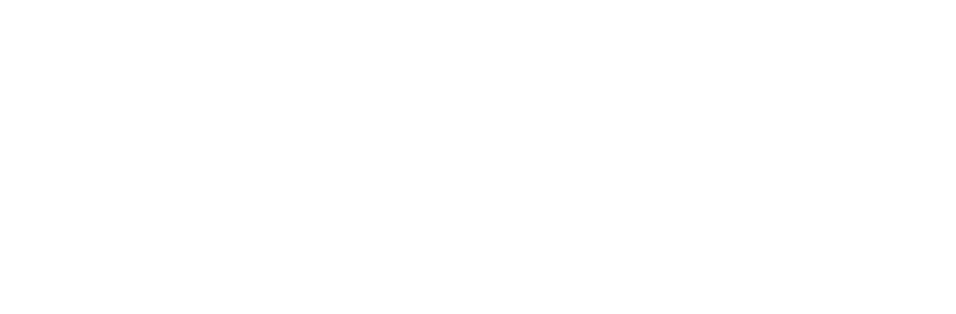 Logo spoločnosti FEI STU