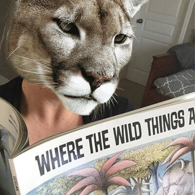 a mountain lion reading where the wild things go