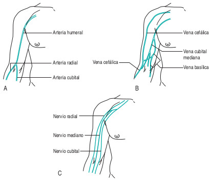 P48. Venopunción | Enfermería