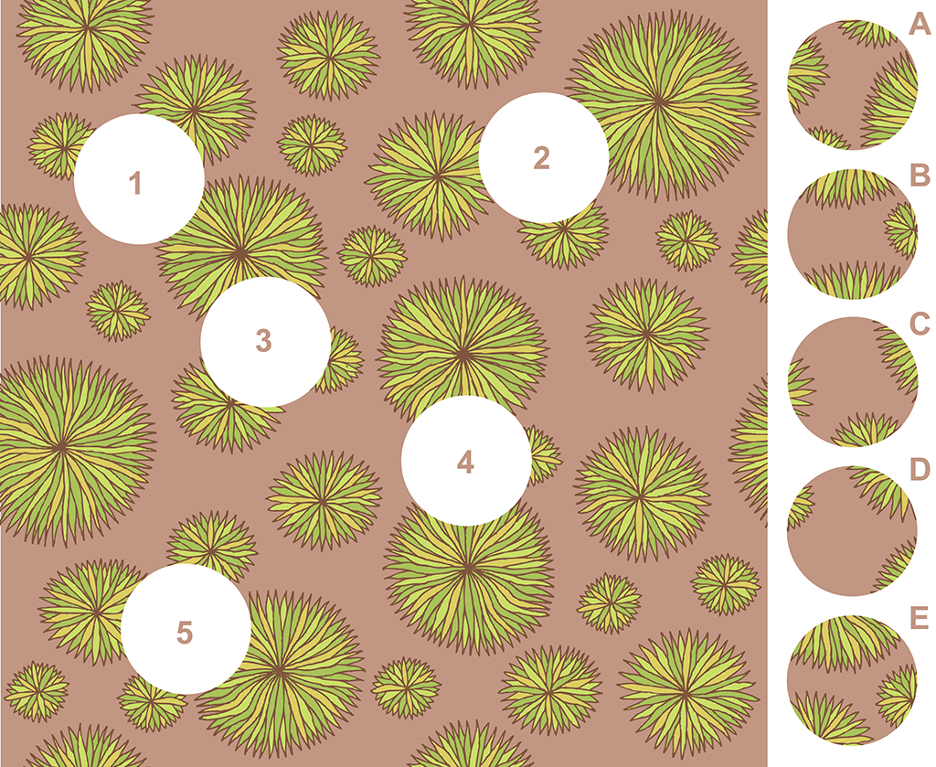 Flowers – A Visual Matching Puzzle