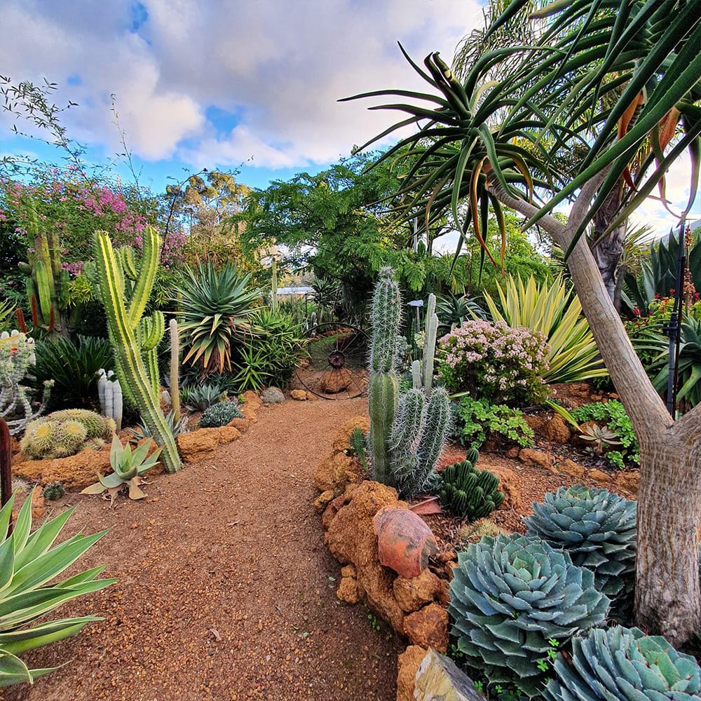 Great Indoor Outdoor Plants At Peter Jacobs Blog