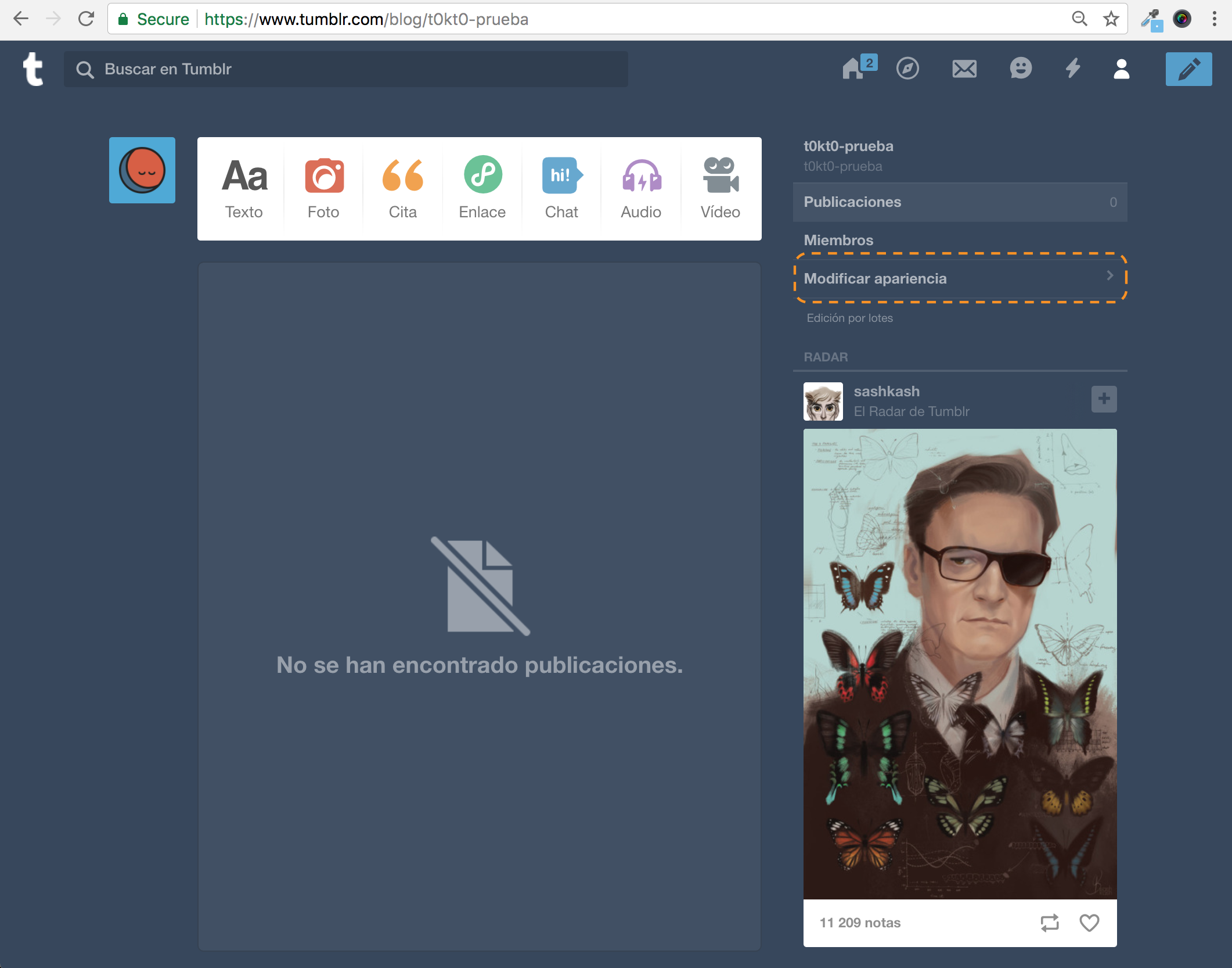 Screenshot of Tumblr configuration