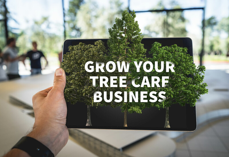 Top 3 Tips for Marketing Your Tree Service Business