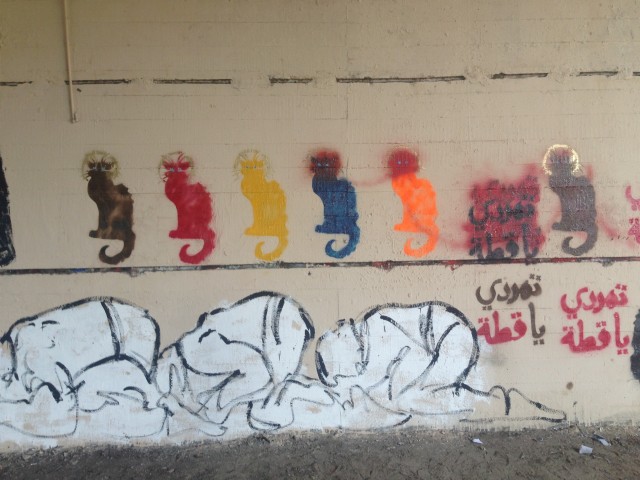 Figure 8: Close up of ‘Rebel Cat’ campaign, by Bahia Shehab (2013)