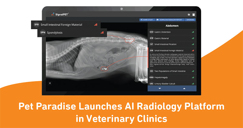 Pet Paradise Launches AI Radiology Platform in Veterinary Clinics