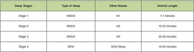 Sleep Stages