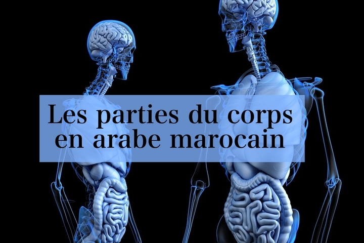 Les parties du corps en arabe marocain