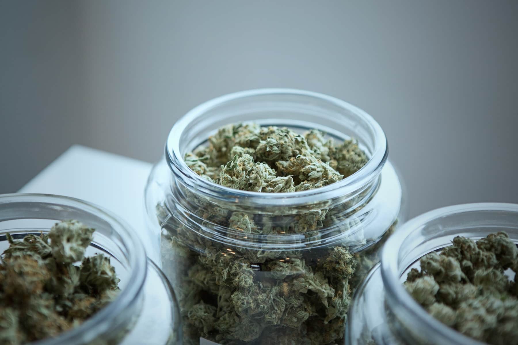 Marijuana strains