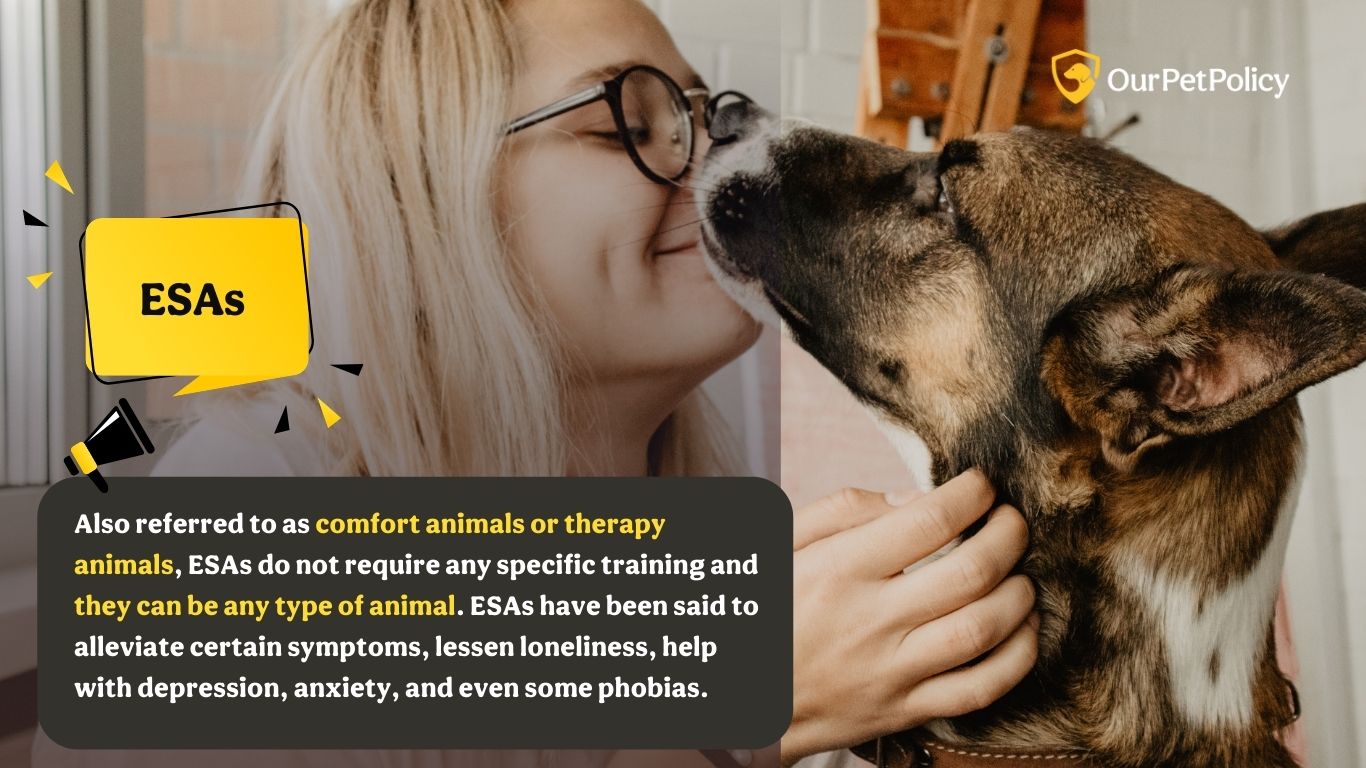 ESAs do not require any specific training and they can be any type of animal