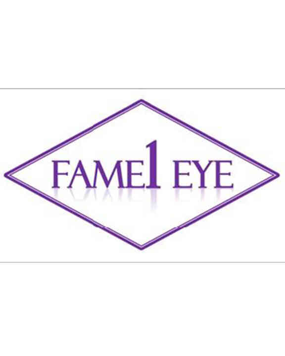 FAME-1 logo
