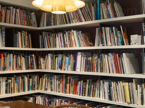 Plain white bookcase with many books of various sizes and colours Skype background