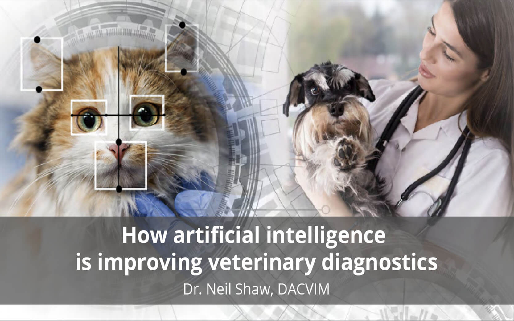 In the News: How artificial intelligence is improving veterinary diagnostics