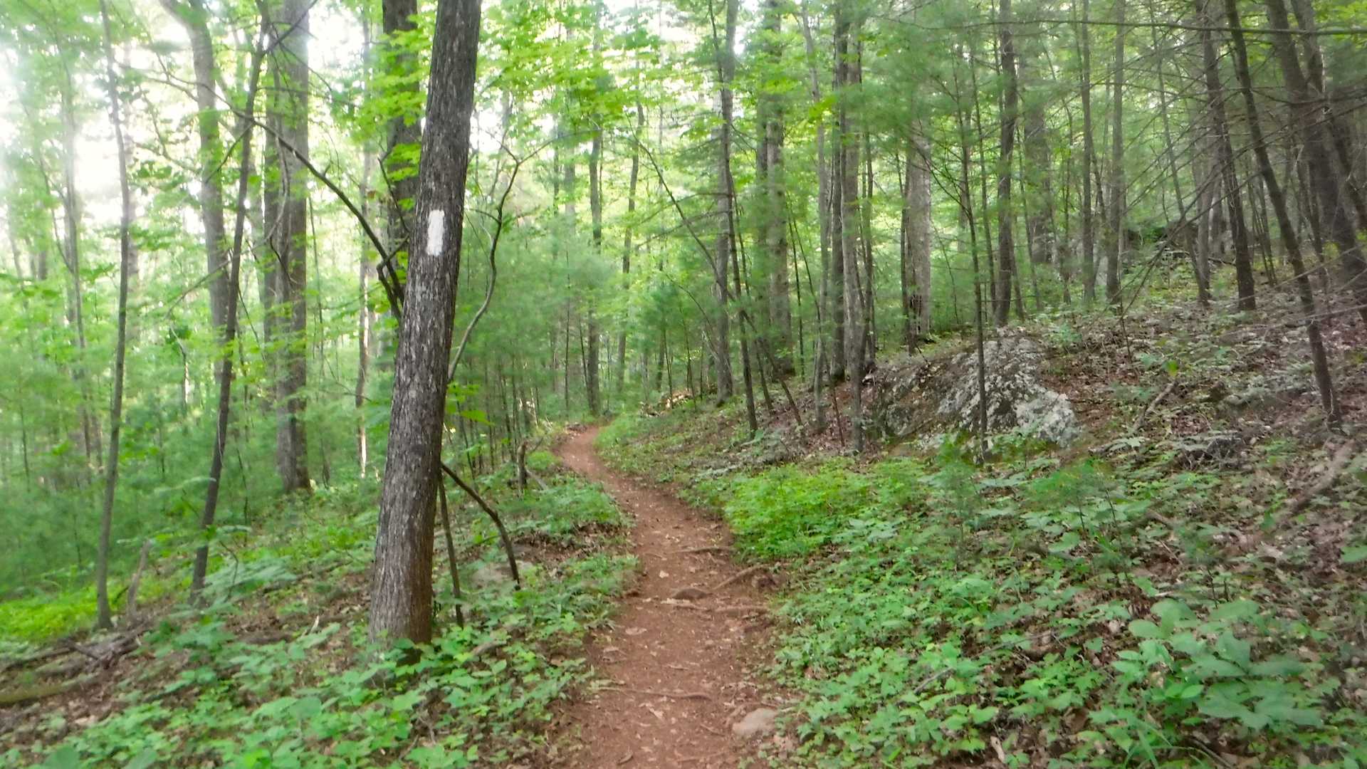 AT 2017: Day 63, Reservoir Road to Seeley-Woodworth Shelter | Hike with