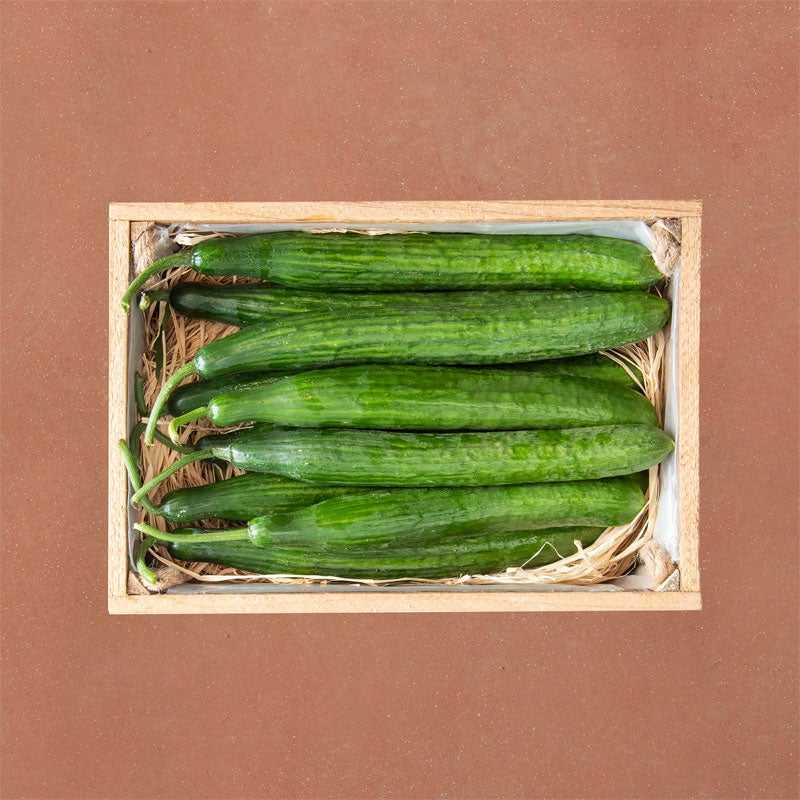 veg-box-cucumber-3kg