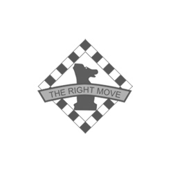 The Right Move "Free Chess For Youth" Foundation