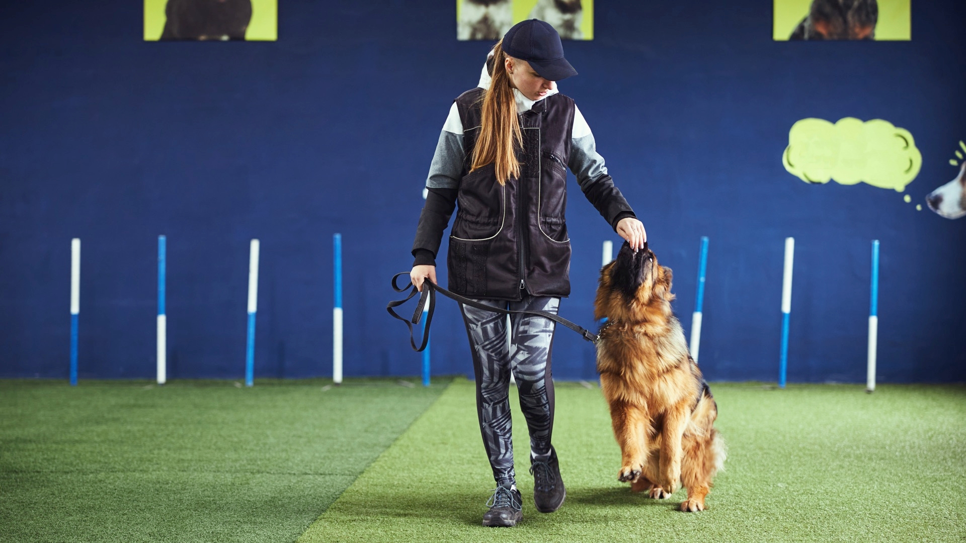 What Is The Difference Between A Dog Trainer And A Dog Behavior Consultant?