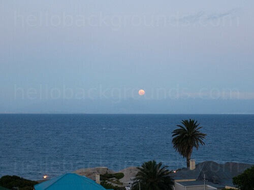 Sunset over ocean with low houses in the foreground and palm tree Google Meet background