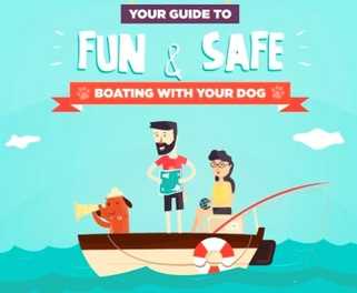 8 Tips for Boating with Your Dog