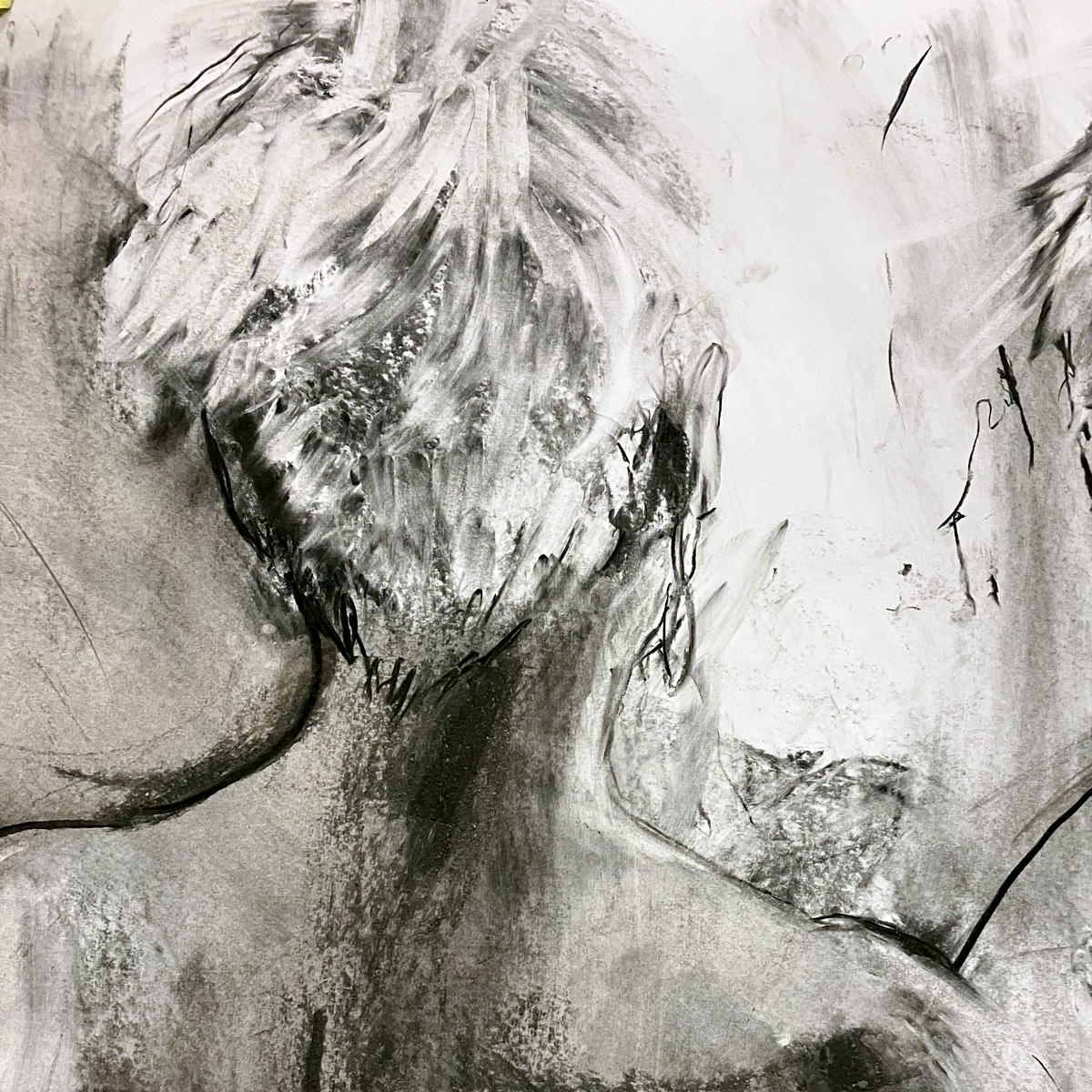 Charcoal drawing, anatomy, sitting model, hair detail