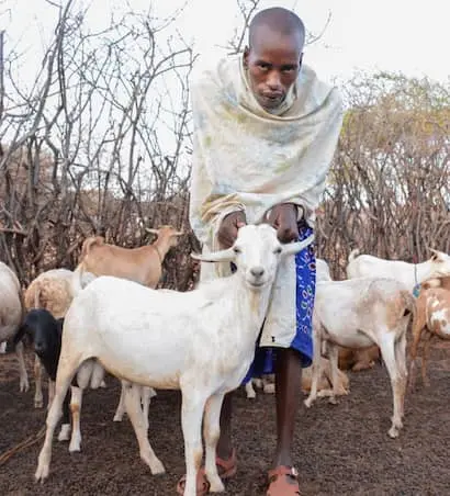 Ltagolon Lesurmat with one of his new Galla goats in Marsabit, Kenya.