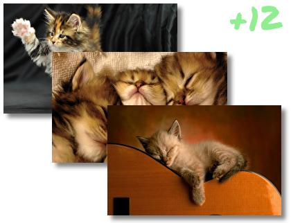 Kittens theme pack