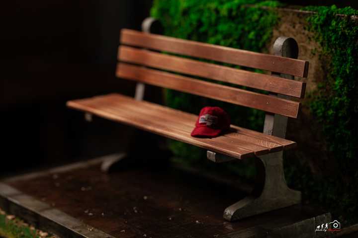 Forrest Gump with Scene