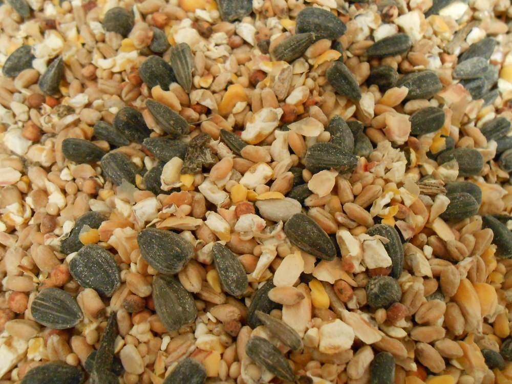 Mélange « Oiseaux du ciel »