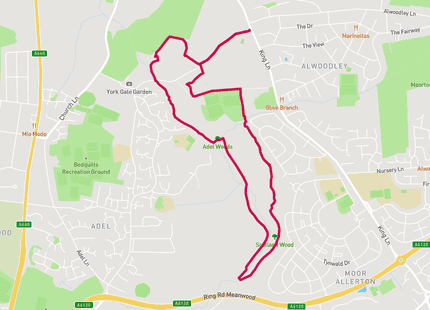 Adel Woods Loop run route map card image