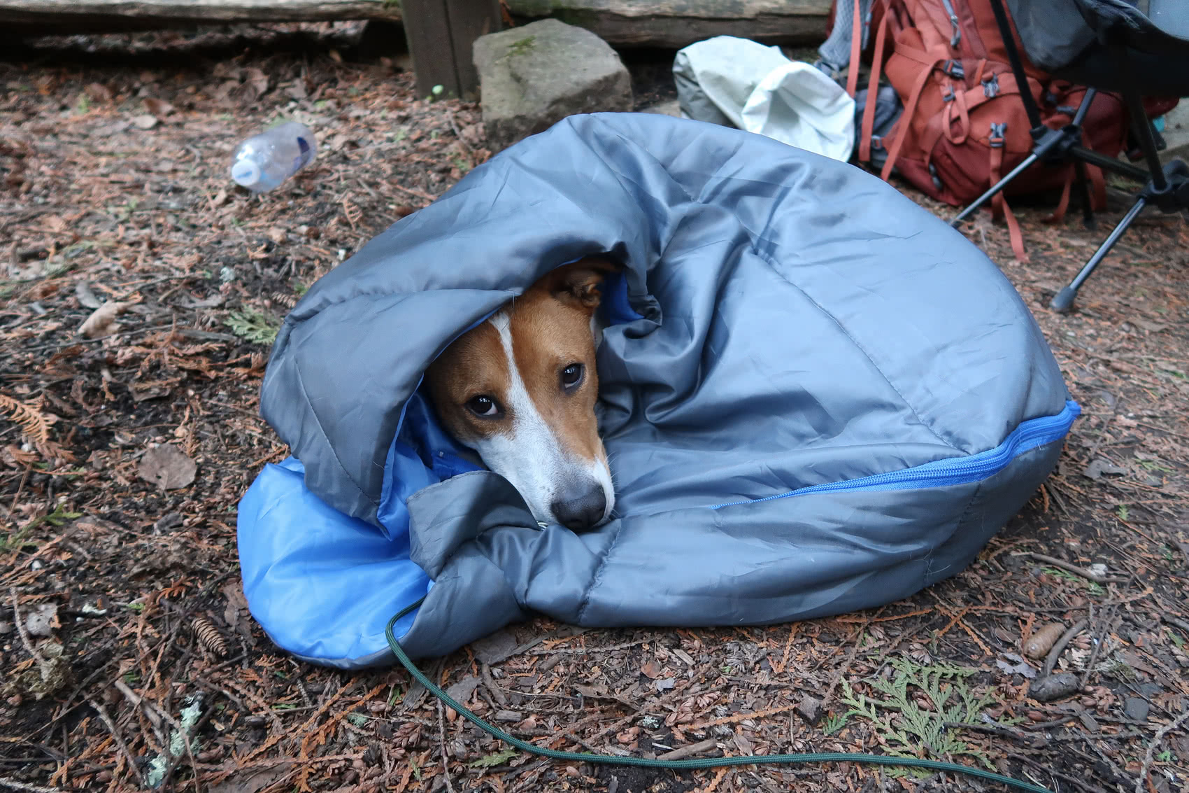 Testing out the sleeping bag