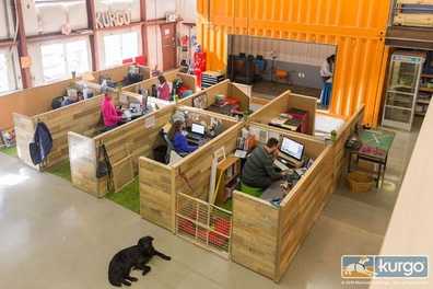 Tips For Creating a Dog-Friendly Office