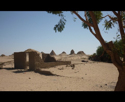 Sudan Nile Oasis 19