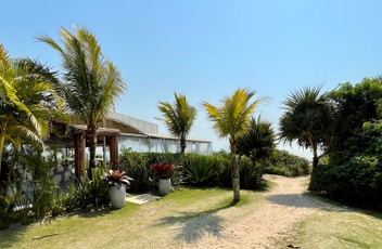 Vista do caminho de entrada na praia com coqueiros e restaurante a esquerda e céu azul