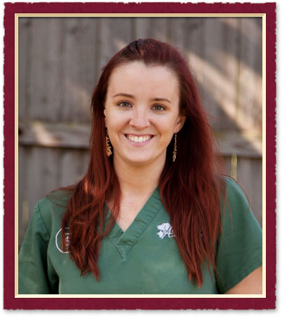 austin TX Veterinary Staff