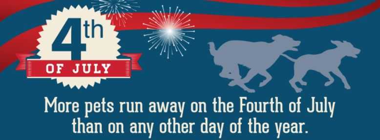 Happy 4th of July! Keep Your Dogs Safe! 