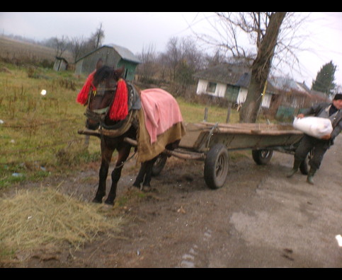 Romania Rural Life 1