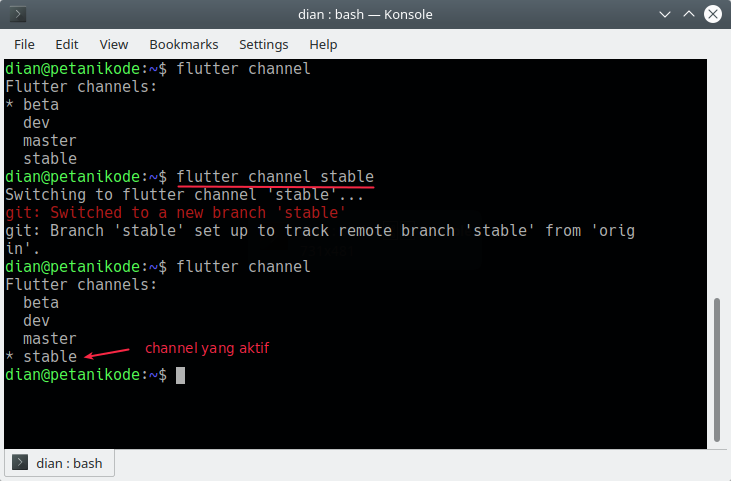 Flutter channel