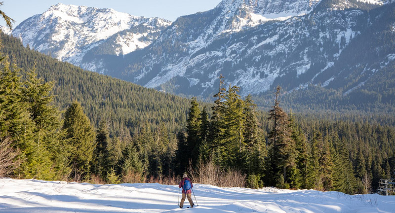 Long shot of a woman backcountry skiing across snow with a pine forest and snow-capped mountains in the distance.